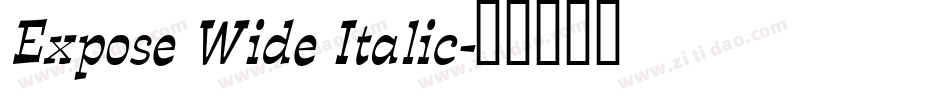 Expose Wide Italic字体转换